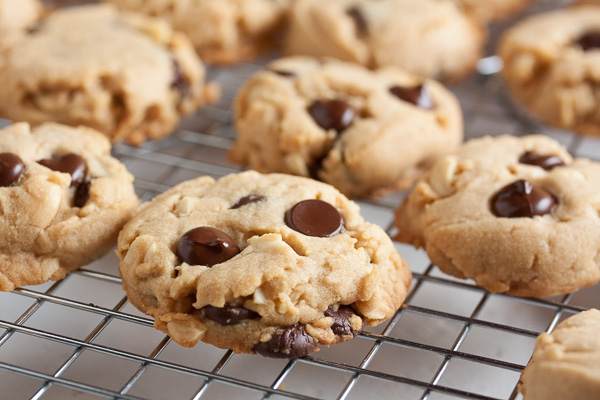 Chocolate chip nut butter cookies – you can make these with any kind of nut butter you like. They're loaded with nutty flavour, tons of chocolate chips, with a melt in your mouth texture.