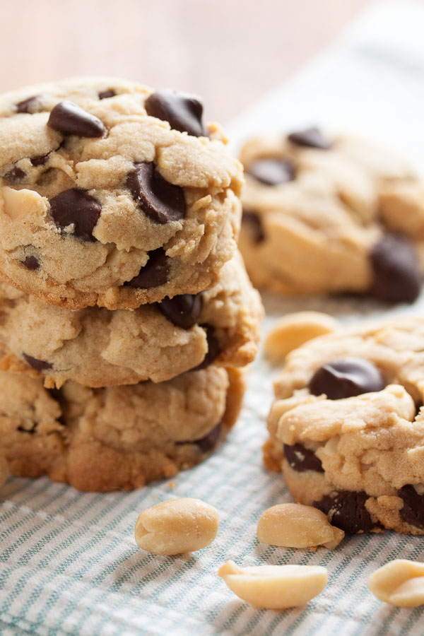 Chocolate chip nut butter cookies – you can make these with any kind of nut butter you like. They're loaded with nutty flavour, tons of chocolate chips, with a melt in your mouth texture.