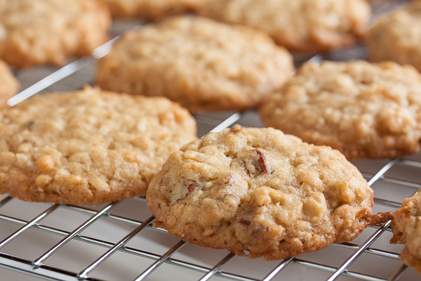 crunchy chewy coconut oatmeal cookies