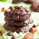 Nutty Triple Chocolate Brownie Cookies – rich chocolate cookies loaded with both white and dark chocolate chips, plus two kinds of toasted nuts!