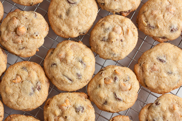 Butterscotch Chocolate Chip Cookies, moist and chewy, loaded with lots of chocolate chips, butterscotch chips, and crunchy toasted walnuts.