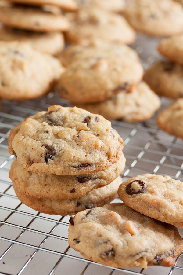 Butterscotch Chocolate Chip Cookies, moist and chewy, loaded with lots of chocolate chips, butterscotch chips, and crunchy toasted walnuts.