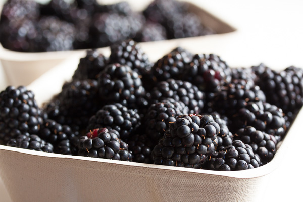 Blackberry Honey Popsicles – tart blackberries, sweet honey, and tangy yogurt combine for a perfectly refreshing summer treat!