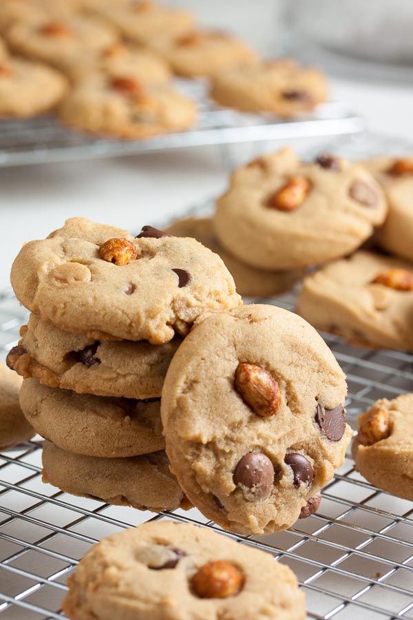 Peanut butter, peanut butter chips, AND honey roasted peanuts are the basis for these amazing Triple Peanut and Chocolate Chip Cookies!