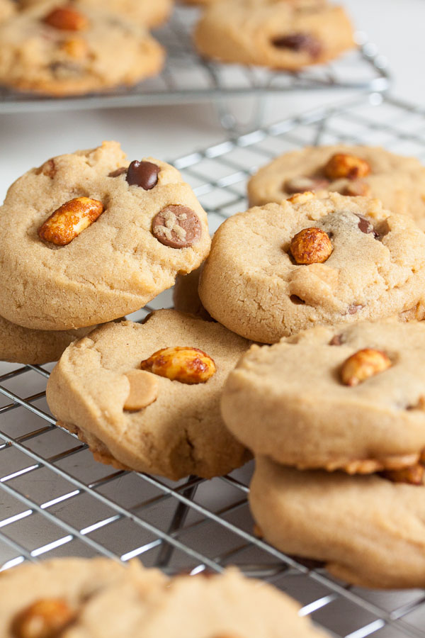 Peanut butter, peanut butter chips, AND honey roasted peanuts are the basis for these amazing Triple Peanut and Chocolate Chip Cookies!