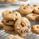<h2>triple peanut and chocolate chip cookies</h2>