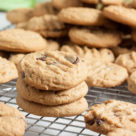 <h2>melt-in-your-mouth peanut butter chocolate chip cookies</h2>