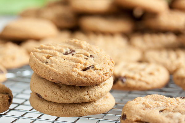 melt-in-your-mouth peanut butter chocolate chip cookies