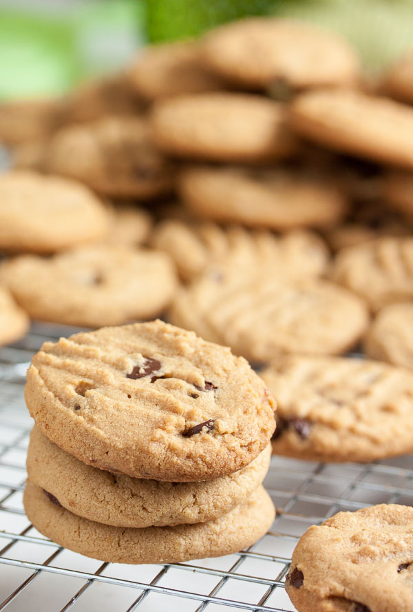 These Melt-in-your-mouth Peanut Butter Chocolate Chip Cookies have absolutely perfect texture and flavour, with just the right amount of chocolate chips inside. My new favourite peanut butter cookie!