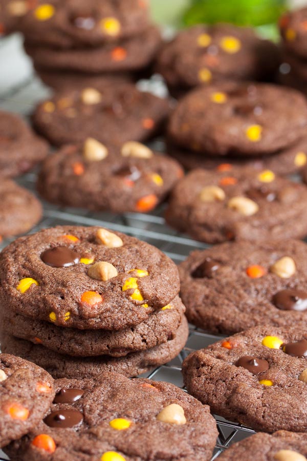 Double Chocolate Reese's Pieces Cookies – rich chocolate cookies loaded with lots of dark chocolate chips, with bursts of peanut butter flavour throughout!