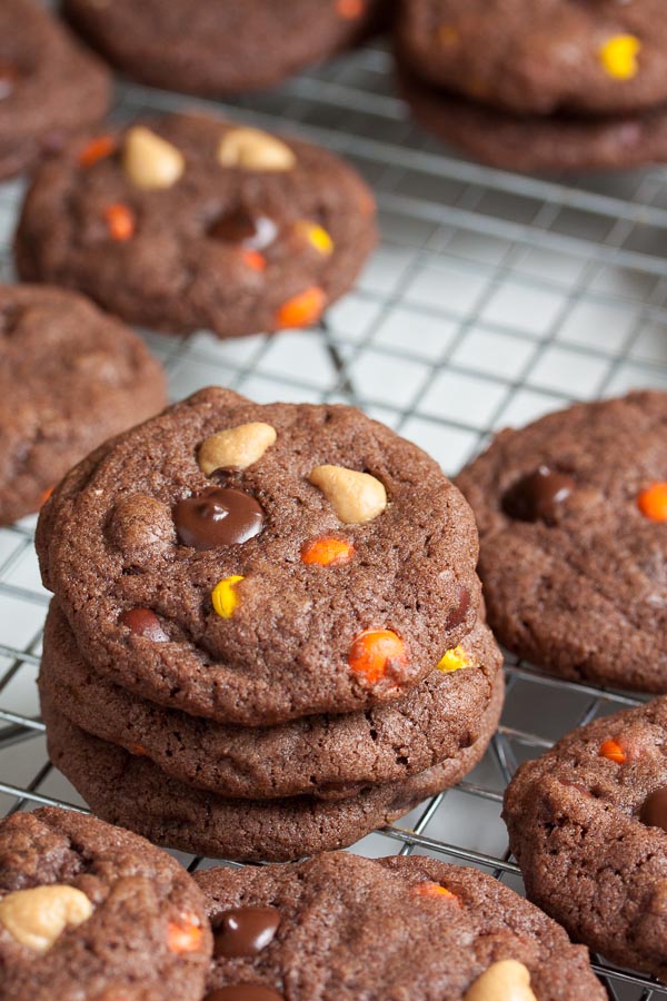 Double Chocolate Reese's Pieces Cookies – rich chocolate cookies loaded with lots of dark chocolate chips, with bursts of peanut butter flavour throughout!