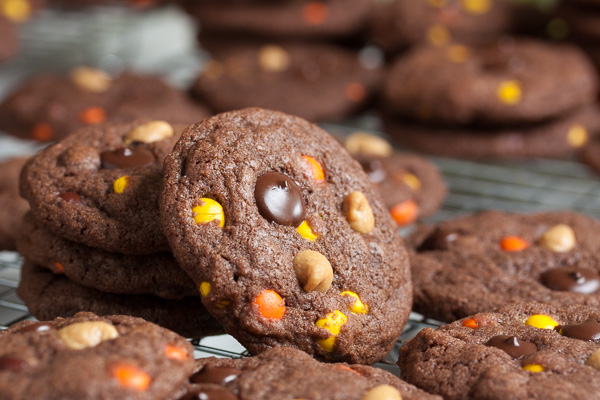 Double Chocolate Reese's Pieces Cookies – rich chocolate cookies loaded with lots of dark chocolate chips, with bursts of peanut butter flavour throughout!