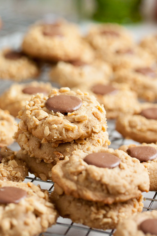 These Peanut Butter Chocolate Blossoms have the flavours and texture you'll love – creamy and peanut-buttery, with a crunchy coating. I love this cookie!