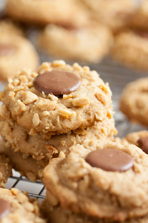 These Peanut Butter Chocolate Blossoms have the flavours and texture you'll love – creamy and peanut-buttery, with a crunchy coating. I love this cookie!