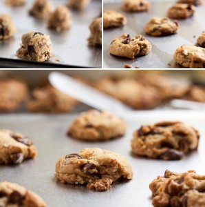 chocolate chip cookies @ wannacomewith.com