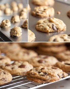 milk chocolate macadamia nut cookies