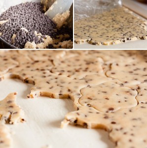 roll-out chocolate chip cookies dough