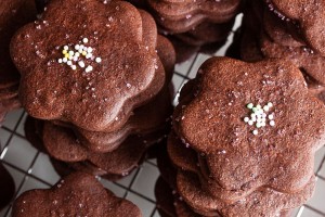 chocolate cookie cutouts