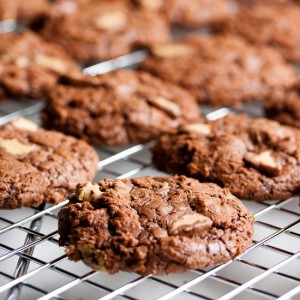 Chocolate Peanut Butter Cup Cookies – a rich, intensely chocolate peanut butter cookie, studded with mini peanut butter cups.