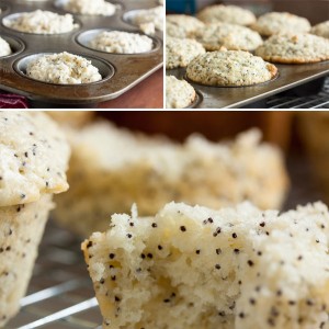 Lemon Poppy Seed Muffins – dense and moist, and so very lemony.
